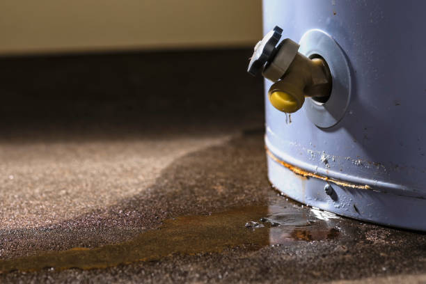 Best Flood damage cleanup  in Leechburg, PA