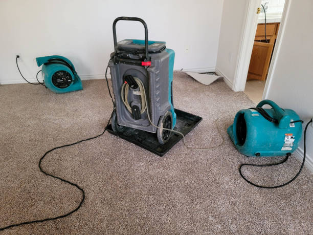 Best Water damage restoration near me  in Leechburg, PA