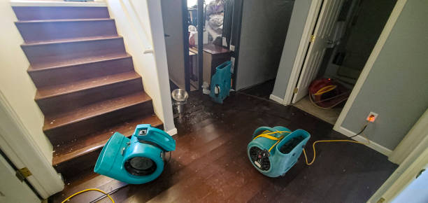 Best Flood restoration services  in Leechburg, PA