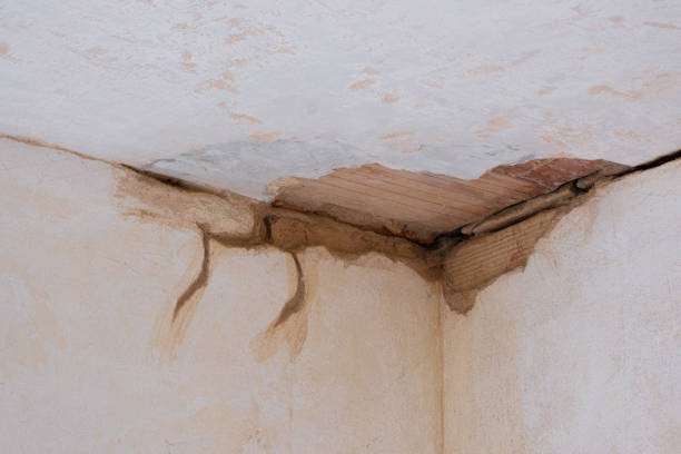 Best Mold removal after water damage  in Leechburg, PA