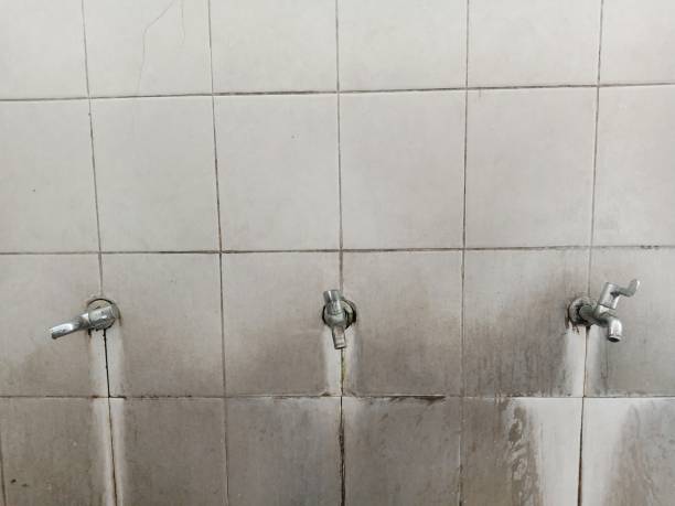 Best Local water damage restoration  in Leechburg, PA