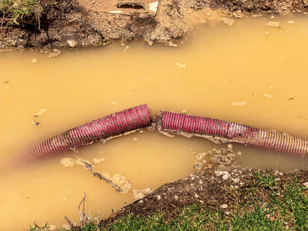 Best 24/7 water damage repair  in Leechburg, PA